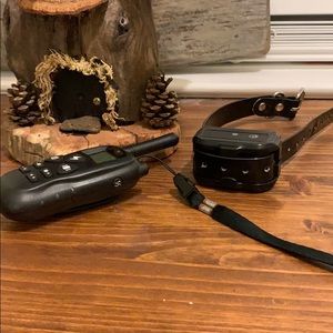 Small dog buzz collar